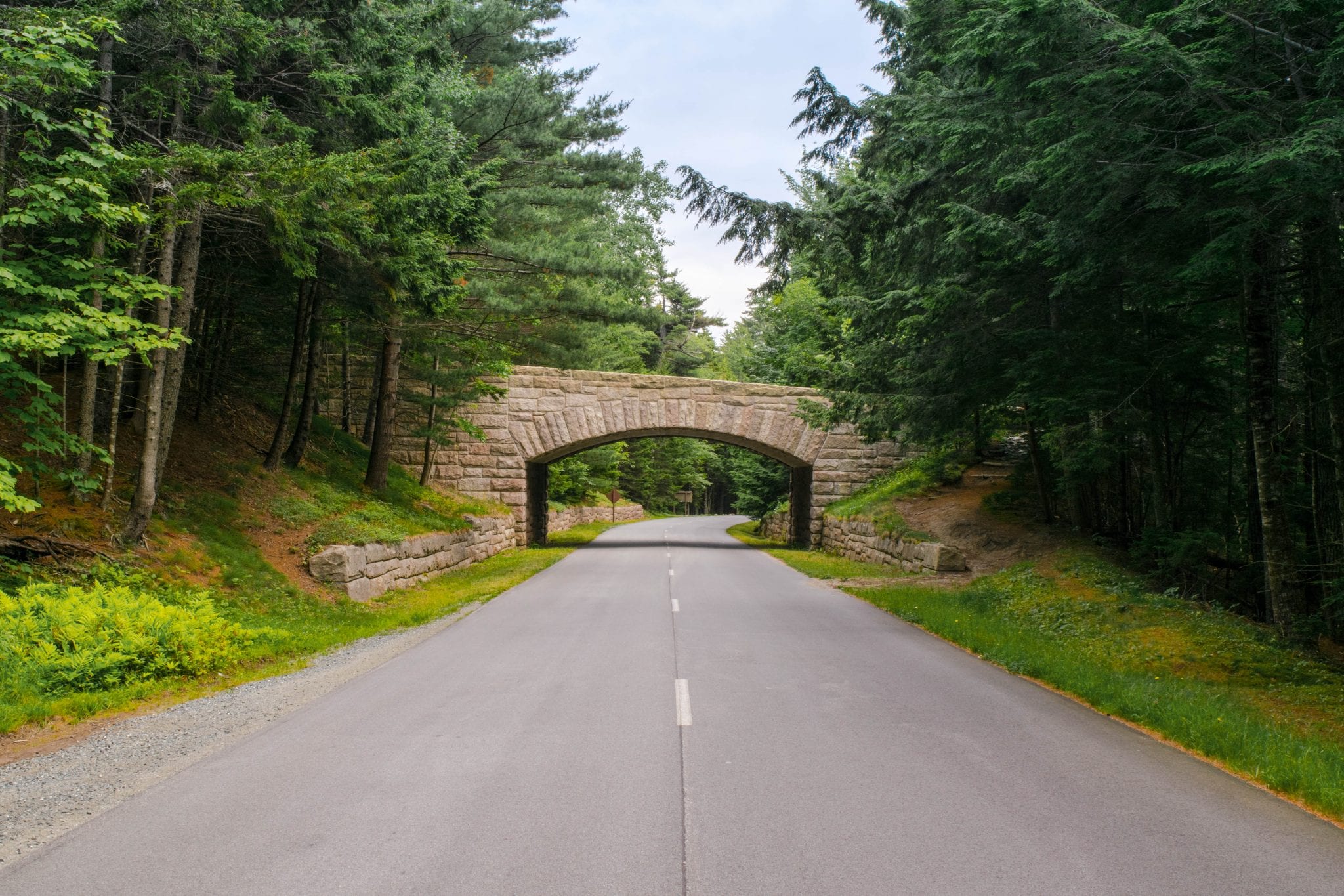 The Best Roads On the East Coast for People Who Love Road Trips