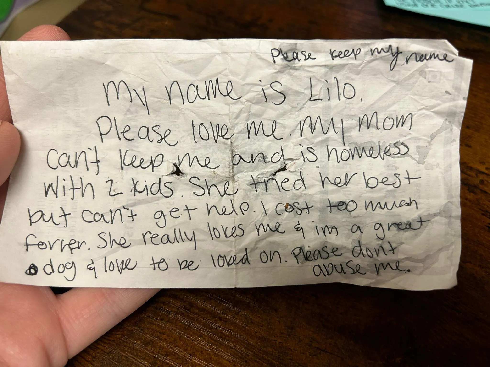 Handwritten note left on Lilo's collar by her owner