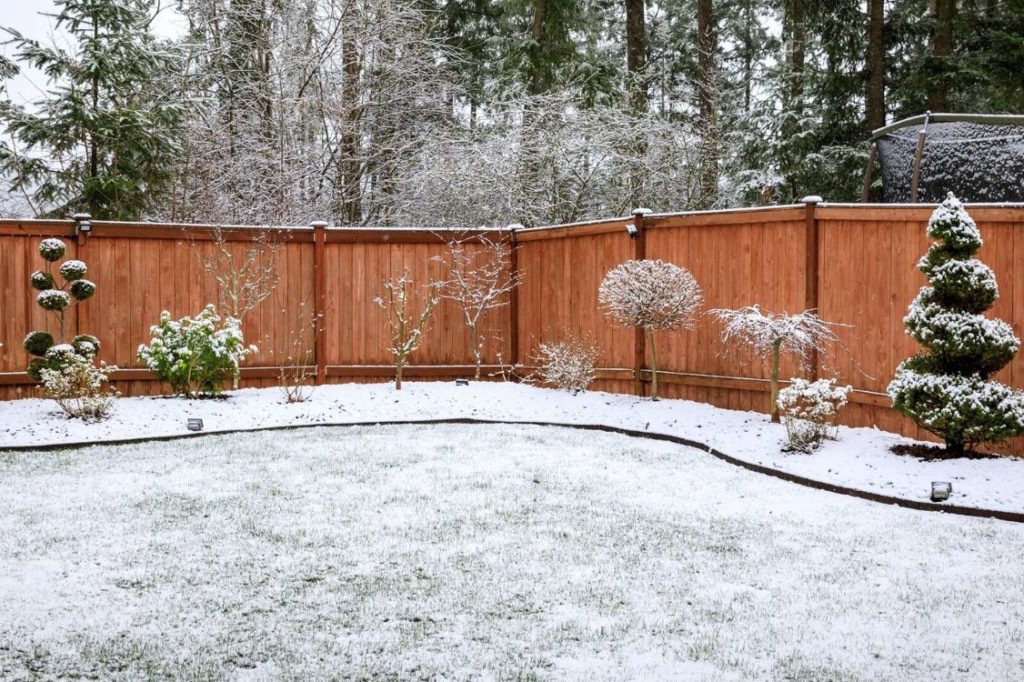 Prepare Your Lawn for the Upcoming Cold Weather – Here’s What to Do!